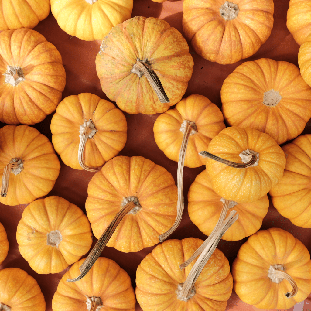 Statistics: South Metro Denver / October&nbsp;2025